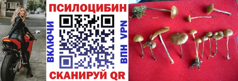 Псилоцибиновые грибы Psilocybine cubensis  где купить наркоту  Мураши 